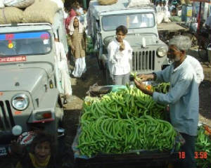 cucumber.jpg